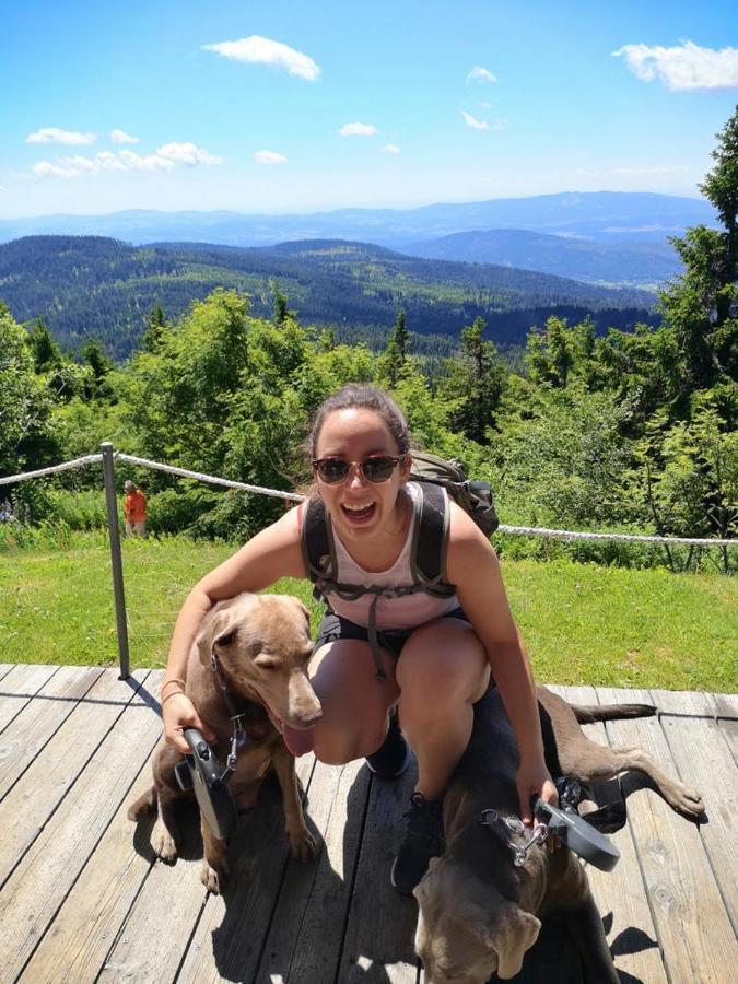 Idyllisch Gelegene Ferienwohnung Im Herzen Des Bayerischen Waldes Zachenberg Zewnętrze zdjęcie
